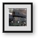 Buy Framed Print