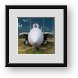 Buy Framed Print