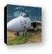Grumman F-14D Super Tomcat Canvas Print