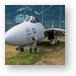 Grumman F-14D Super Tomcat Metal Print