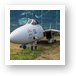 Grumman F-14D Super Tomcat Art Print