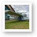 Consolidated PBY-5A Catalina Art Print