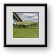 Buy Framed Print