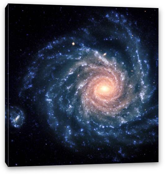 Spiral galaxy NGC 1232 Fine Art Canvas Print