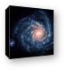 Spiral galaxy NGC 1232 Canvas Print