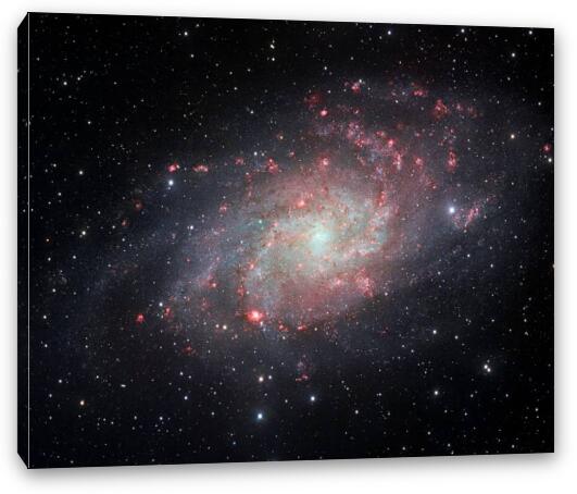 Very Detailed View of the Triangulum Galaxy Fine Art Canvas Print