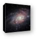 Very Detailed View of the Triangulum Galaxy Canvas Print