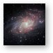 Very Detailed View of the Triangulum Galaxy Metal Print