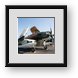 Buy Framed Print