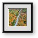 Buy Framed Print