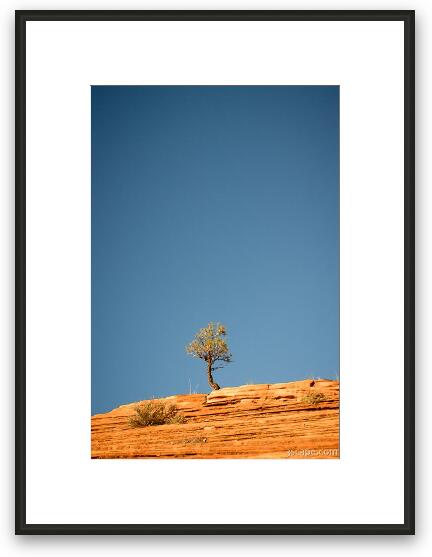 Lone Tree Big Sky Framed Fine Art Print