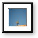 Lone Tree Big Sky Framed Print