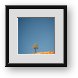 Buy Framed Print