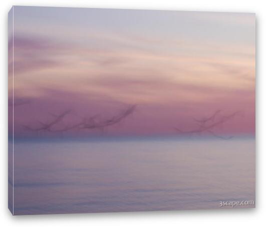 Pastel abstract - flying seagulls at dusk Fine Art Canvas Print
