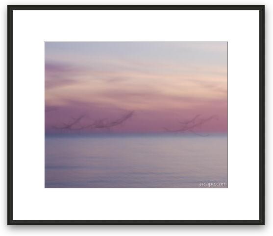 Pastel abstract - flying seagulls at dusk Framed Fine Art Print