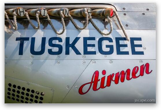 Tuskegee Airmen P-51 Mustang Nose Art Fine Art Metal Print