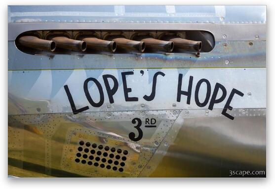 Lope's Hope  Fine Art Metal Print