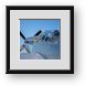 Buy Framed Print
