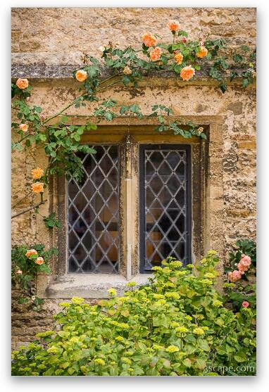 Lacock Abbey Window Fine Art Print