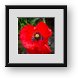 Buy Framed Print