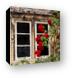 Window and Climbing Roses Canvas Print