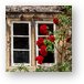 Window and Climbing Roses Metal Print