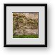 Buy Framed Print
