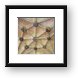 The Cloisters Ceiling Framed Print