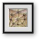 Buy Framed Print