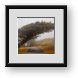 Buy Framed Print