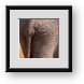 Buy Framed Print