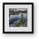 Buy Framed Print