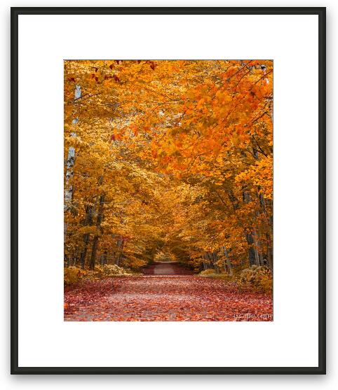 Door County Fall Foliage Framed Fine Art Print