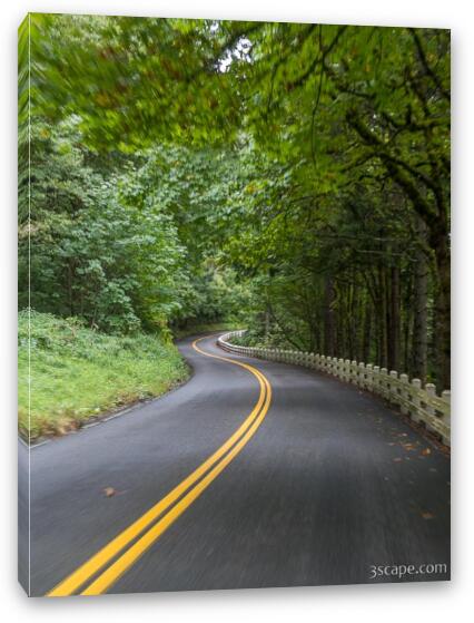 Driving the Winding Road Fine Art Canvas Print