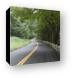 Driving the Winding Road Canvas Print