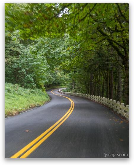 Driving the Winding Road Fine Art Print