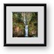 Buy Framed Print