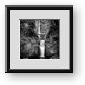 Buy Framed Print