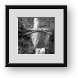 Buy Framed Print