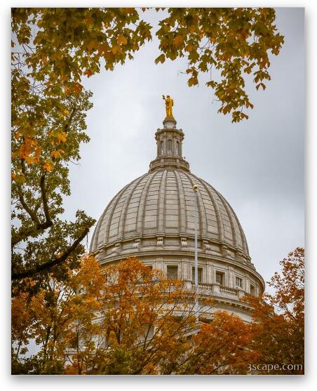 Madison Capital Dome in Autumn Fine Art Metal Print
