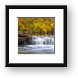 Waterfall Glen, Lemont, IL Framed Print
