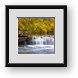 Buy Framed Print