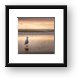 Seagull at Sunset Framed Print
