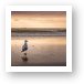 Seagull at Sunset Art Print