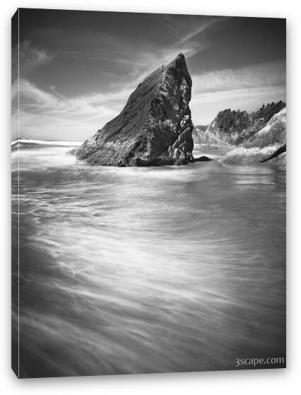 Point Meriwether Black and White Fine Art Canvas Print