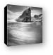 Point Meriwether Black and White Canvas Print