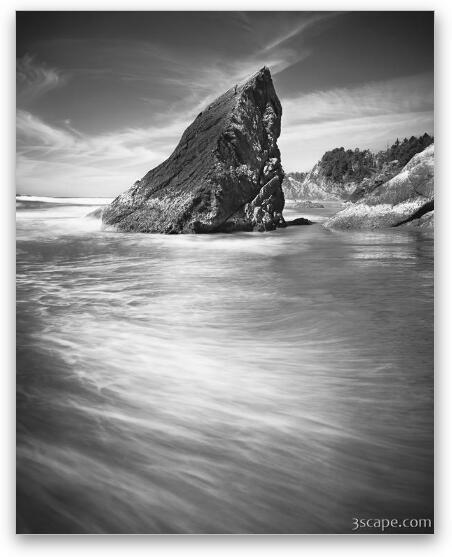 Point Meriwether Black and White Fine Art Metal Print
