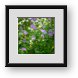 Buy Framed Print