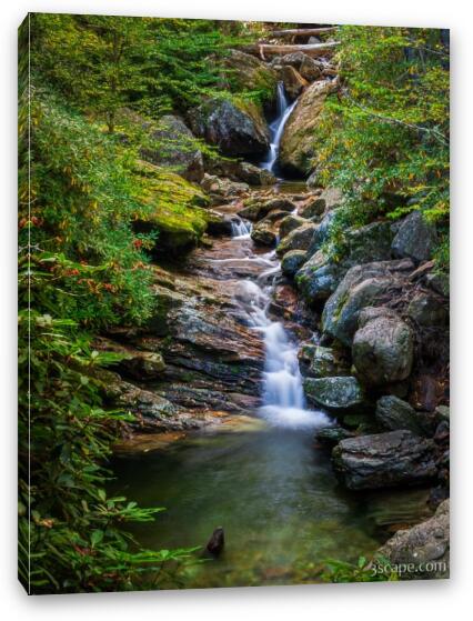 Skinny Dip Falls Fine Art Canvas Print