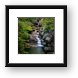 Buy Framed Print